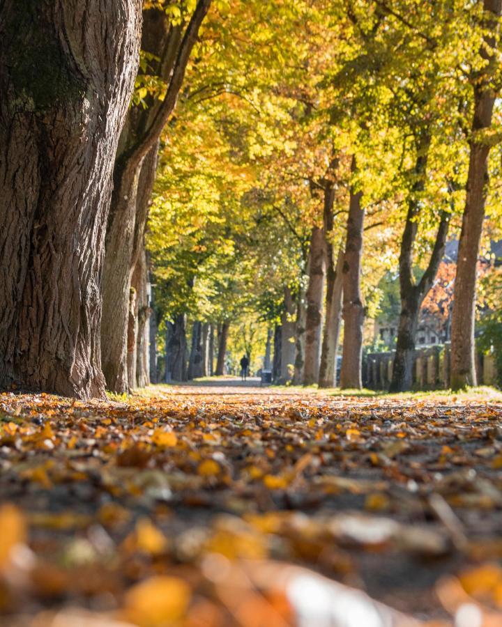 Laudensacks Parkhotel & Retreat Bad Kissingen Luaran gambar