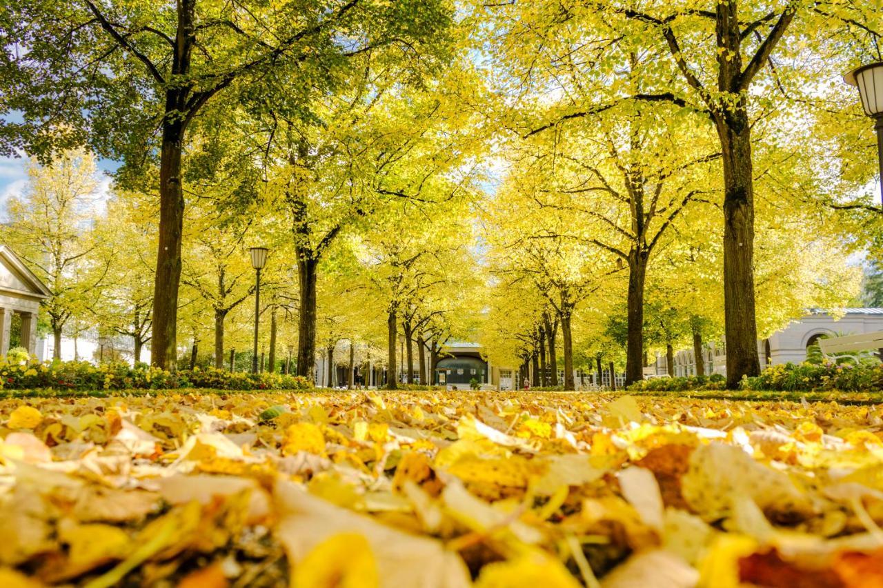 Laudensacks Parkhotel & Retreat Bad Kissingen Luaran gambar